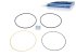 DT Spare Parts - Seal ring kit - 4.91148