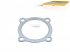 DT Spare Parts -  Gasket - SA6Y0009 - 1 Pack