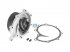 DT Spare Parts - Water pump - 1.11116