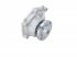 DT Spare Parts - Water pump - 1.11117