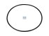 DT Spare Parts - O-ring - 1.10170 - 10 Pack