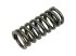 DT Spare Parts - Valve spring - 1.10780 - 2 Pack