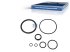 DT Spare Parts - Seal ring kit - 1.31460