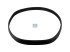 DT Spare Parts - Rubber ring - 4.60730