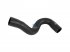 DT Spare Parts - Radiator hose - 1.11584