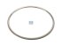 DT Spare Parts - Seal ring - 5.41160 - 2 Pack