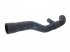 DT Spare Parts - Radiator hose - 1.11555