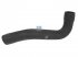 DT Spare Parts - Radiator hose - 1.11582