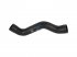 DT Spare Parts - Radiator hose - 1.11614