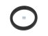 DT Spare Parts - Seal ring - 2.10520 - 10 Pack