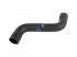 DT Spare Parts - Radiator hose - 1.11566