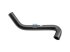 DT Spare Parts - Steering hose - 4.10420