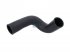 DT Spare Parts - Radiator hose - 1.11596