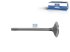 DT Spare Parts - Intake valve - 7.51260 - 2 Pack