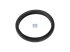 DT Spare Parts - Seal ring - 13.42090