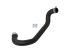 DT Spare Parts - Radiator hose - 13.42140