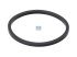 DT Spare Parts - Seal ring - 7.60090