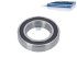 DT Spare Parts - Roller bearing - 2.70320