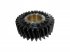 DT Spare Parts - Gear - 1.16013