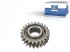 DT Spare Parts - Gear - 1.16011