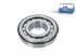 DT Spare Parts - Roller bearing - 1.16038