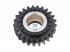 DT Spare Parts - Axle shaft gear - 1.16632