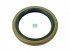 DT Spare Parts - Oil seal - 1.18187