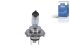 DT Spare Parts - Bulb - 1.21573