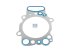 DT Spare Parts - Cylinder head gasket - 1.24051