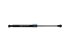 DT Spare Parts - Gas spring - 1.23249 - 2 Pack