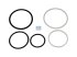 DT Spare Parts - O-ring kit - 1.31281