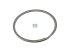 DT Spare Parts - Seal ring - 2.10209