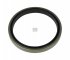 Oil seal d: 100 mm, D: 120 mm, H1: 11 mm, H2: 16,5 mm DT Spare Parts 4.20585