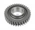 DT Spare Parts -  Gear - 1.14368 - 1 Pack