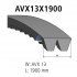 V-belt kit AVX 13, L: 1900 mm, AVX13X1900, 2 belts DT Spare Parts 3.34429