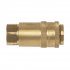 Sealey PCL Non-Corrodible Coupling Body Female 1/4