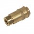 Sealey PCL Non-Corrodible Coupling Body Female 1/4