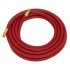 Sealey Air Hose with 1/4