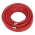 Sealey Air Hose with 1/4