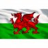 Sealey Toolbox Graphics Pack - Wales