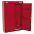 Sealey Wall Mounting Tool Cabinet with 1 Drawer