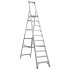 Sealey Industrial Step Ladder 10-Tread Aluminium - BS EN 131