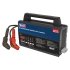 Sealey 12V Battery Support Unit & Charger 100A