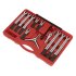 Sealey Bearing & Gear Puller Set 12pc