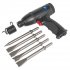 Sealey Premier Medium Stroke Composite Air Hammer Kit