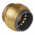 Sealey SharkBite Line End Plug 22mm