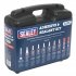 Sealey Adhesive & Sealant Kit 10pc