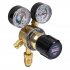 Sealey Oxygen Regulator