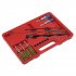 Sealey Cleaning Brush Set Injector Bore 14pc