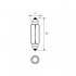 Durite - Bulb 12V 10W FESTOON 11x43mm   - 7-002-65